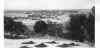 Kings Park 1964